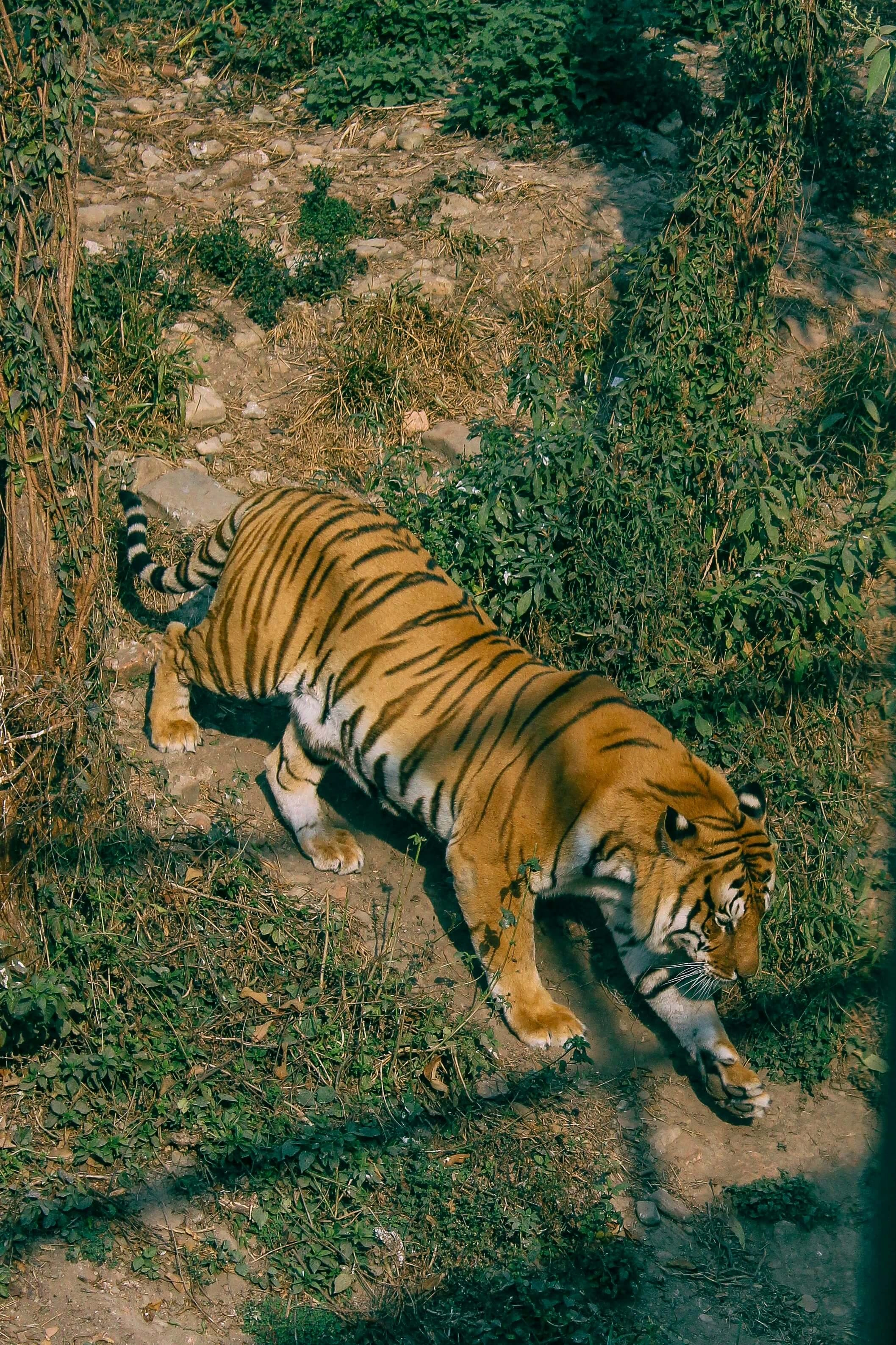 Chitwan National Park